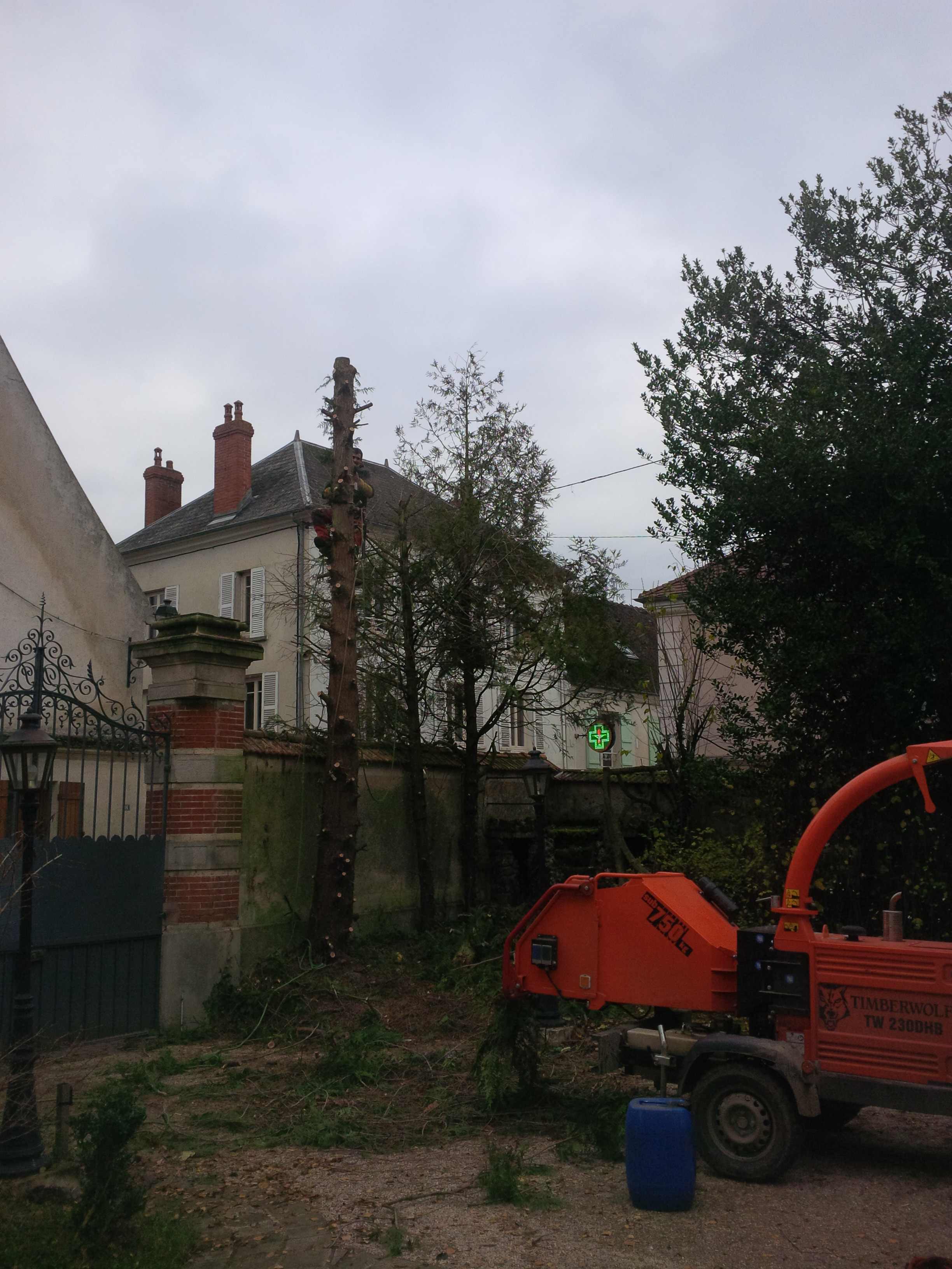 elagage abattage Chezy sur marne 02570